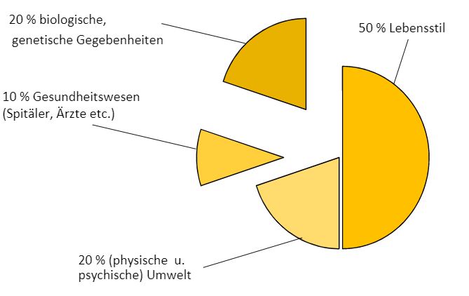 Einfluss von Gesundheitsdeterminanten
