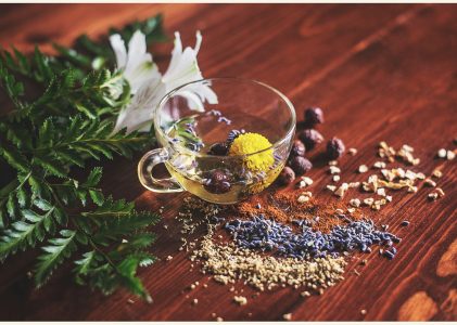 Naturheilmittel und Kräuter für deine Hausapotheke