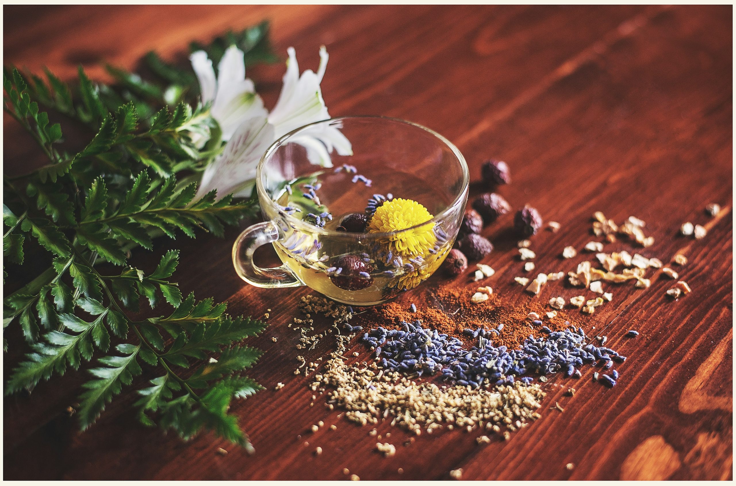 Naturheilmittel und Kräuter für deine Hausapotheke